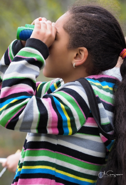 A young birder looks through binoculars