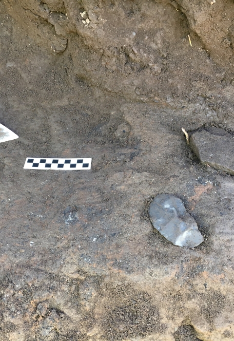 A trowel is set next to a black and white strip that shows scale, next to two stone tools just exposed in the earth.