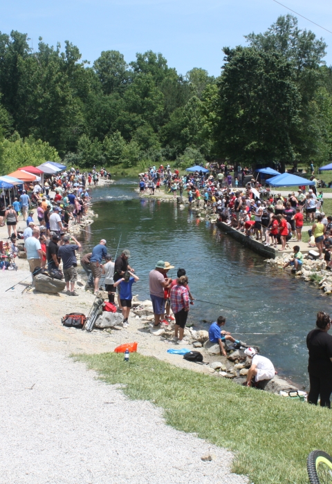 crowd of people fishing at a creek