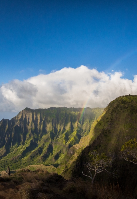 A view of mountains on Kauai where the mitigation site is. The clouds break behind the mountain cliffs and a rainbow arches in front.