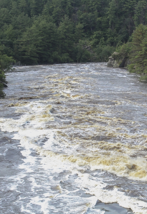 A river churns along the rocky rapids. Evergreen trees frame either side of the water. 