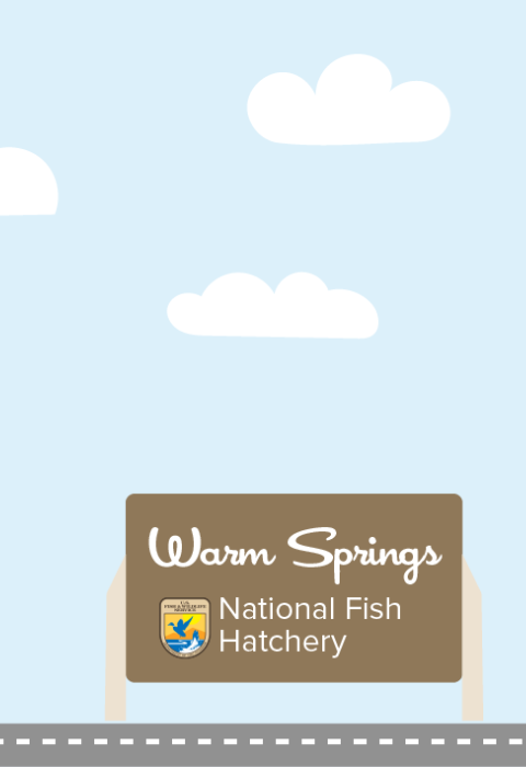 A graphic featuring a light blue sky with puffy clouds. At the bottom of the graphic, a fish drives a car along a road toward a sign that reads "Warm Springs National Fish Hatchery"