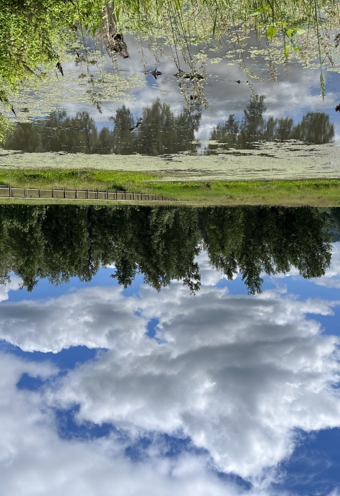 Spring at Steigerwald Lake National Wildlife Refuge