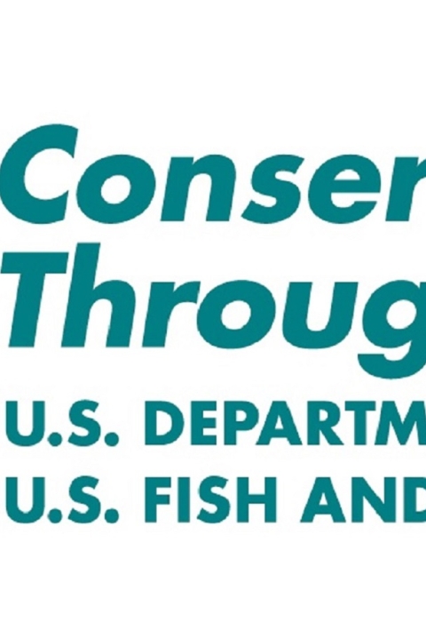 The logo of the Junior Duck Stamp Contest with the words Conservation Through the Arts