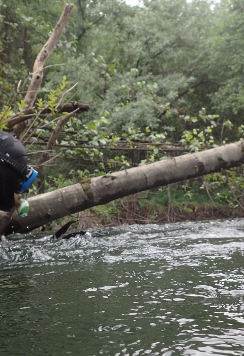 a person snorkeling in river