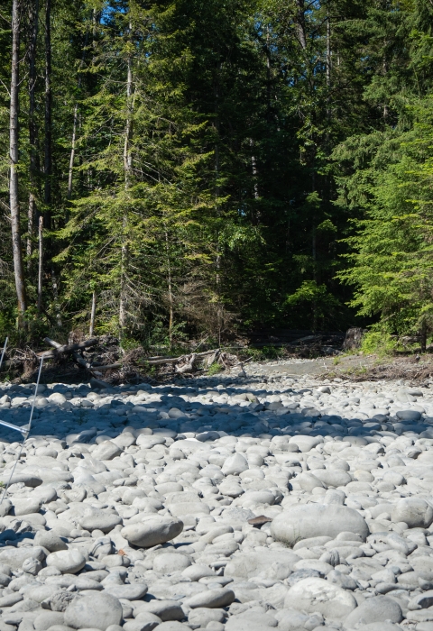 Service Intern, Eric Klingberg, walking along a river bank as he tracks radio tagged fish using an antenna and receiver. 