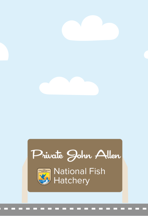 A graphic featuring a light blue sky with puffy clouds. At the bottom of the graphic, a fish drives a car along a road toward a sign that reads "Private John Allen National Fish Hatchery"