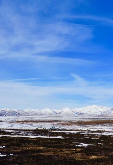 Snow covering a charred landscape with snow capped mountains in the background.