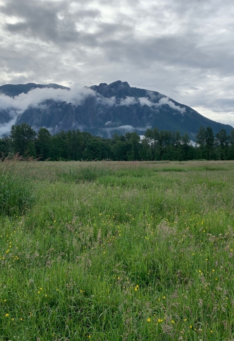 Picture of Mt. Si with clouds and prairie