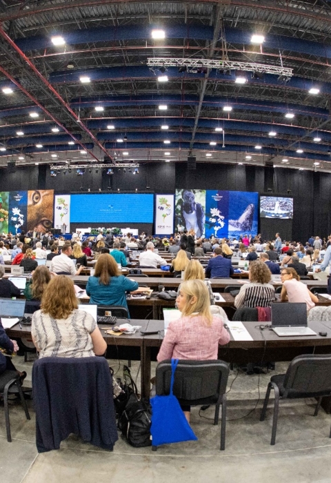 A large meeting space with people sitting at long tables