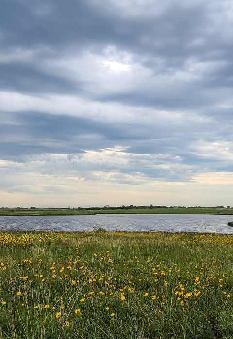 Prairie potholes on Trout WPA