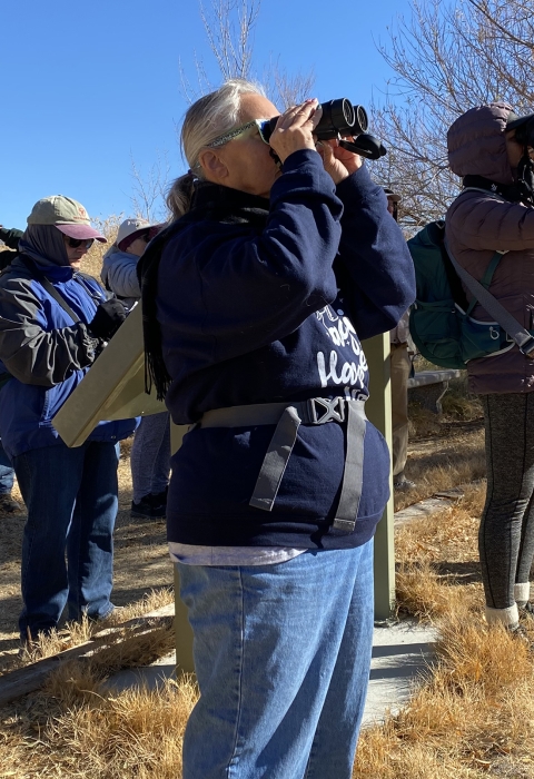People looking for birds using binoculars