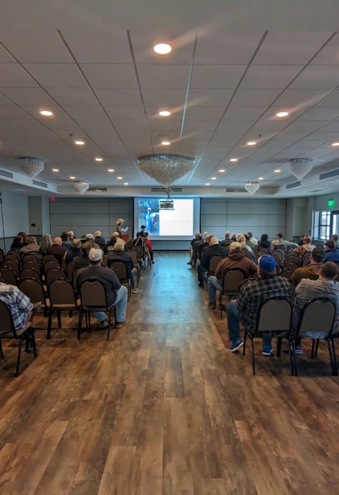 Audience listening to a presentation