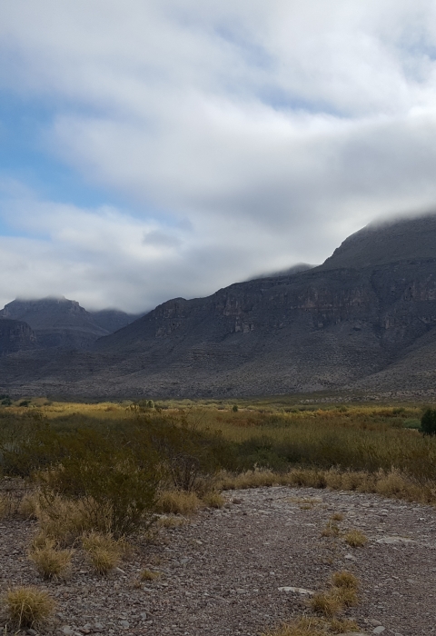 West Texas Landscape