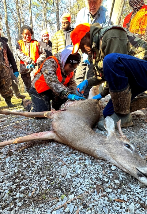 University students in hunter orange and camouflage look on as Bill Freeman shows them how to process a deer. 
