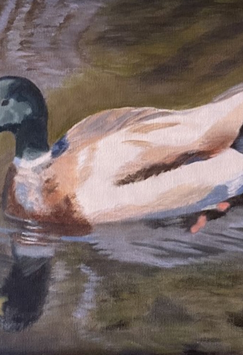 Painting of mallard in water
