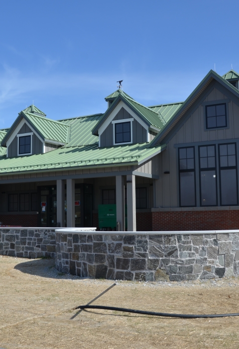 Tan building with green roof and what appear to be solid, opaque, witdows