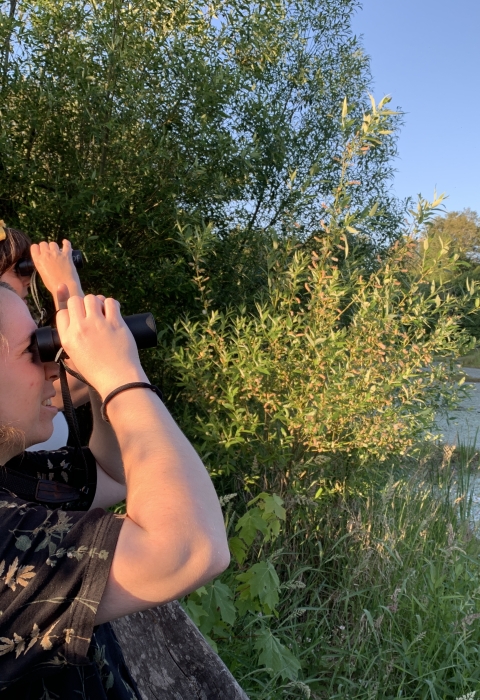Two people stand at a boardwalk rail with binoculars to the eyes, overlooking a wetland, warm evening light shining from behind them on a clear blue-sky day.