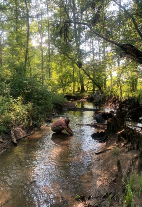 Freshwater mussel survey in southeast Georgia