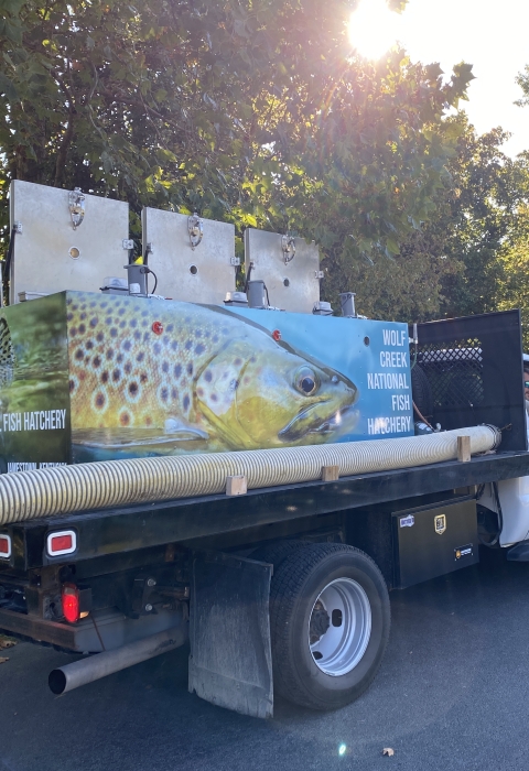 Fish distribution truck with tank wrapping