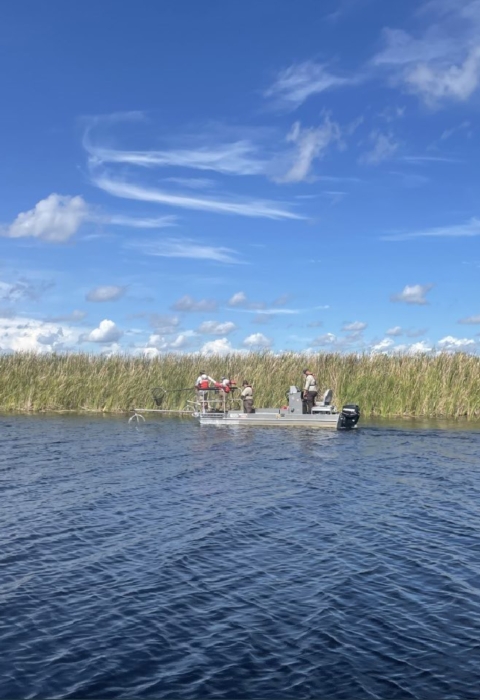 Electrofishing A.R.M. Loxahatchee NWR