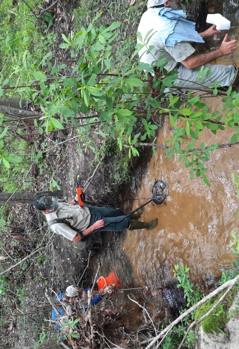 Mussel Surveys for Louisiana Pearlshell