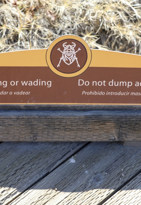 a sign saying no swimming or wading and do not dump aquatic pets