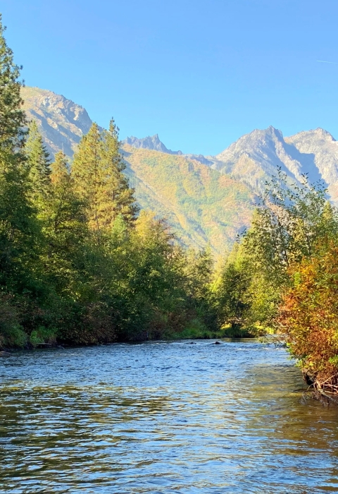 A calm river with trees on both sides and a mountain and blue skies in the distance.