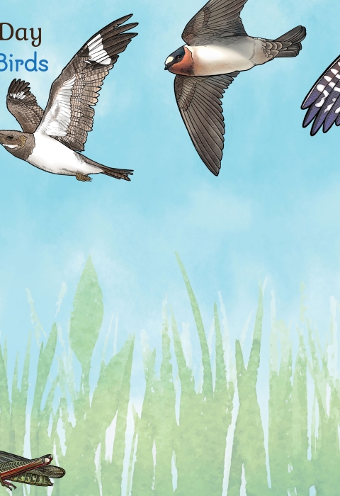 watercolor of birds and insects amongst green grass and a blue sky