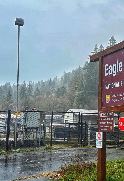A sign outdoors that reads Eagle Creek National Fish Hatchery