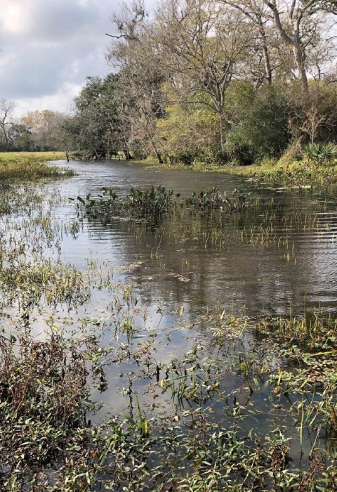 San Bernard National Wildlife Refuge