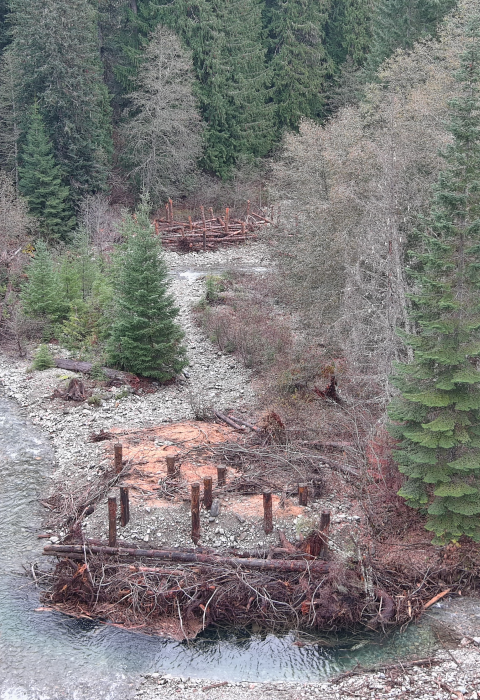 An aerial view of a restoration site, showing a river with water winding around large wooden structures amid a forest of tall trees.
