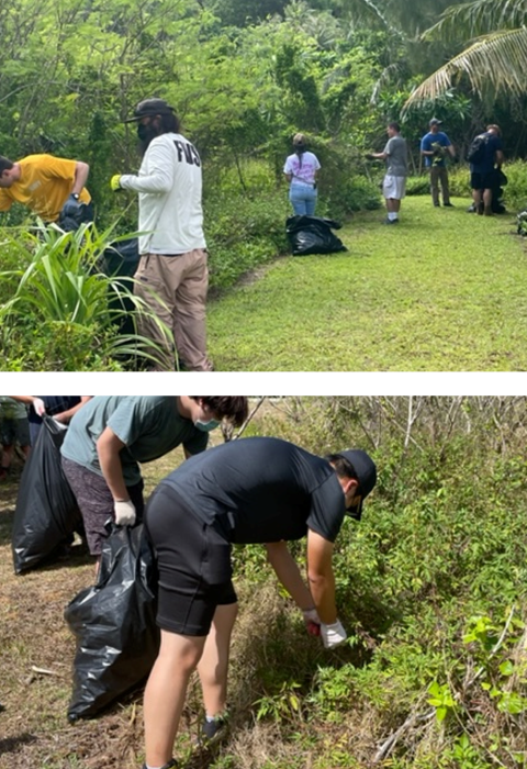 Volunteers remove invasive vines at the Guam National Wildlife Refuge