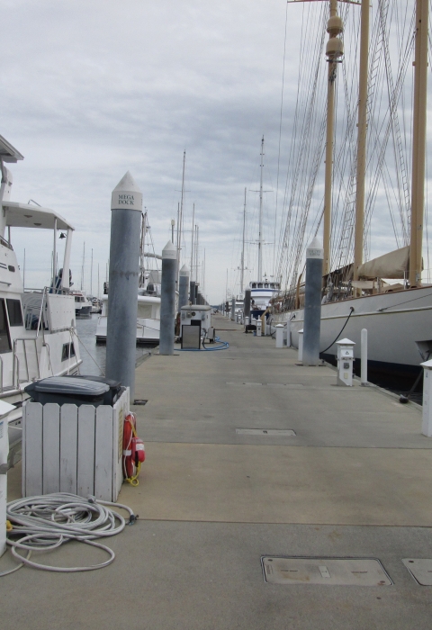 View of boats docking at Charleston City wharf