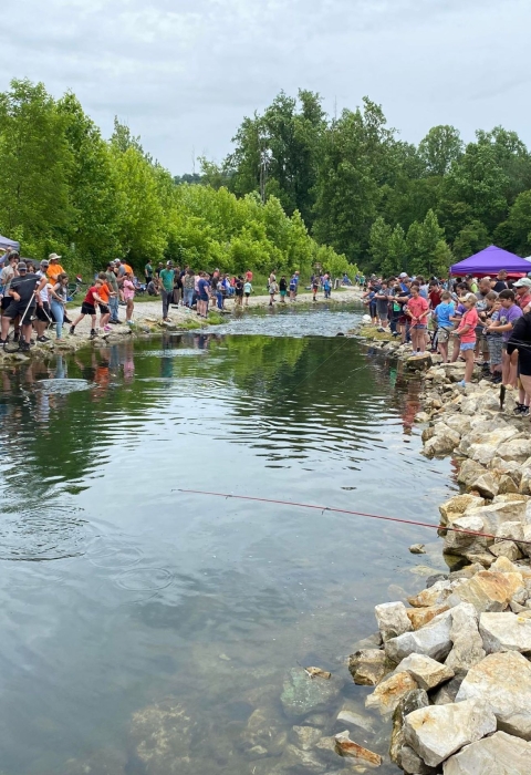 People fishing bank of stream