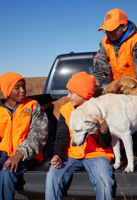 three boys in hunter orange sitting in the bed of a truck with two dogs 