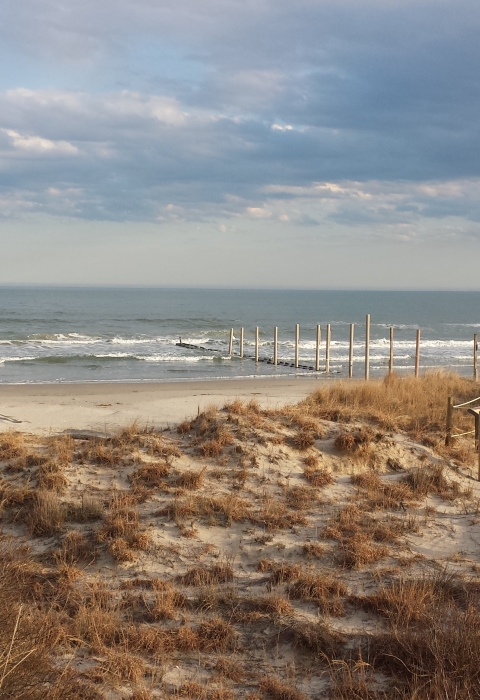 The Dune Trail at Cape May NWR leads to the Atlantic Ocean.