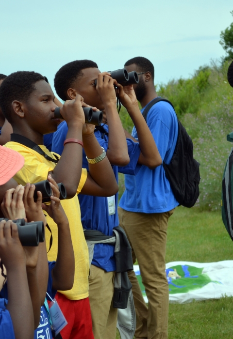 kids with binoculars looking toward trees