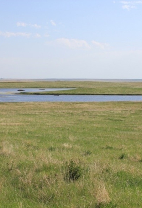 Charles M. Russell Wetlands Management District landscape 