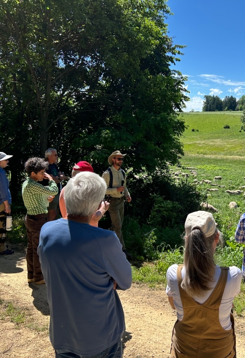 A man addresses a group as they look at a flock of sheep in a field.
