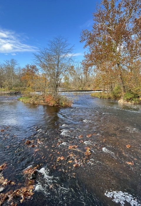 A fall scenic shot of a river with a dam in the background.