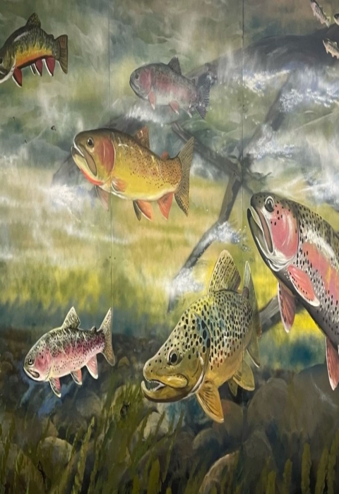 Norfork National Fish Hatchery Mural