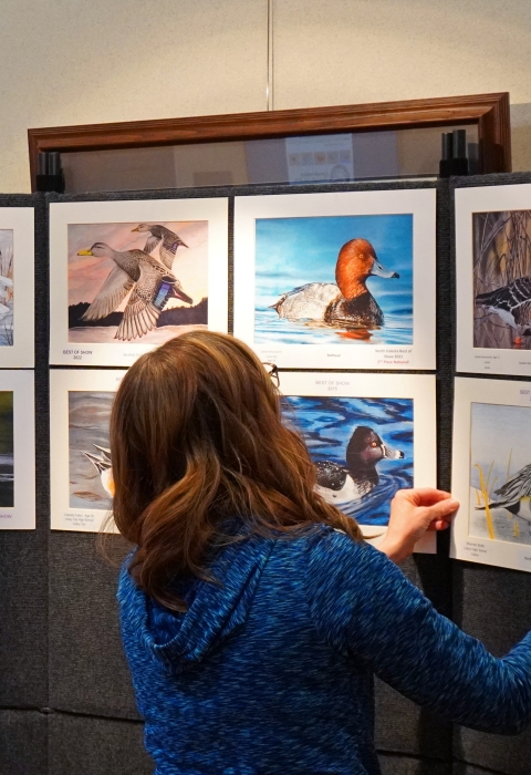 woman hanging piece of artwork of a duck next to other duck art