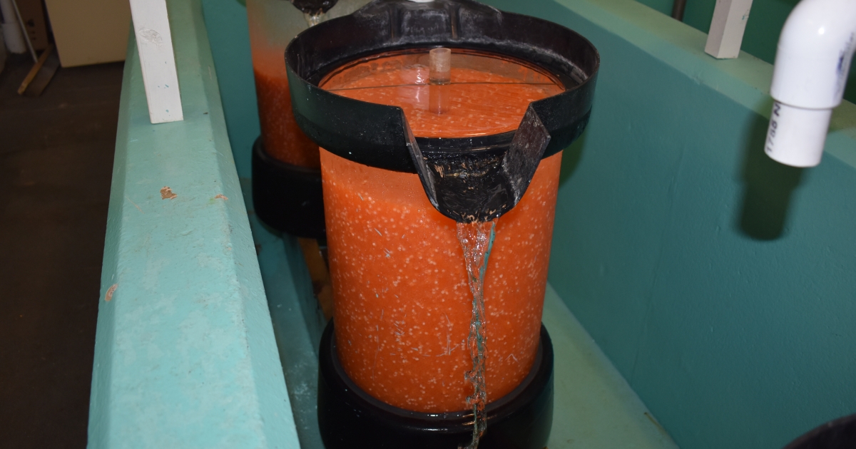 Spawning begins at Erwin National Fish Hatchery | U.S. Fish & Wildlife ...