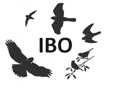 Intermountain Bird Observatory Logo Intermountain Bird Observatory Logo
