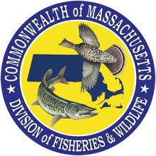 Massachusetts Division of Fisheries and Wildlife Logo