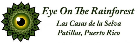 Logo of Tropic Ventures at Las Casas de la Selva
