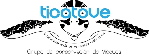 black and white drawn turtle with ticatove merged with eyes.