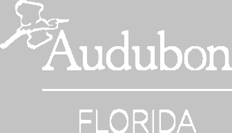 Logo for Audubon Florida