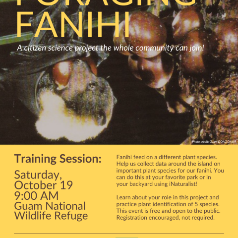 Foraging Fanihi Project Advertisement. The background of the poster shows a fruit bat eating fruit. The bottom of the poster shows the date and time of a training event and gives the background of the event.